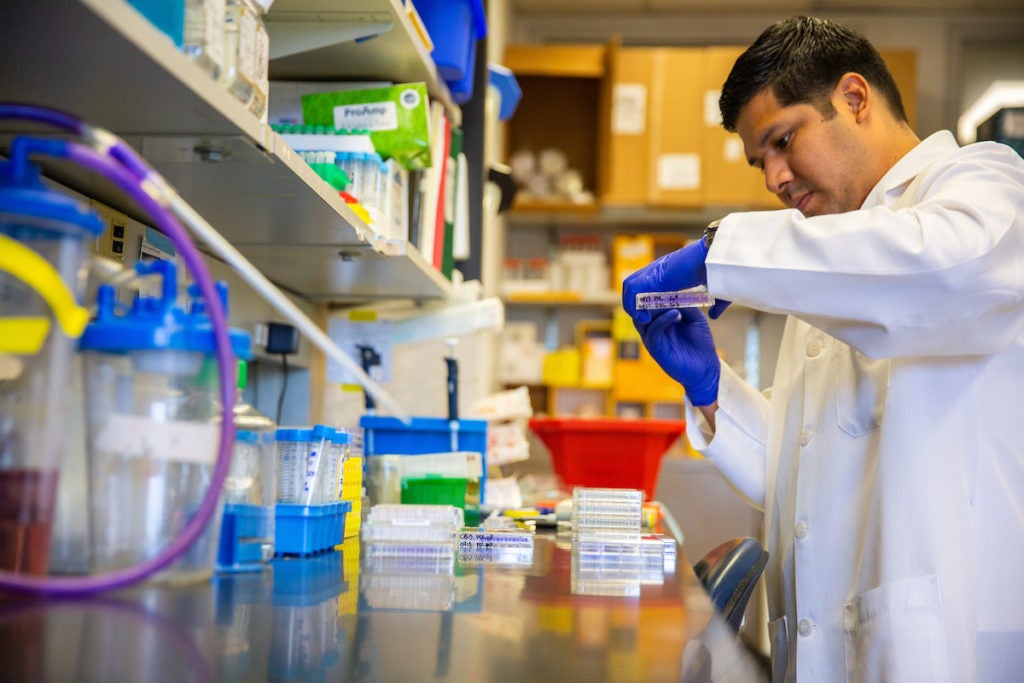 master's student doing research